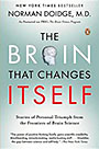 The Brain That Changes Itself